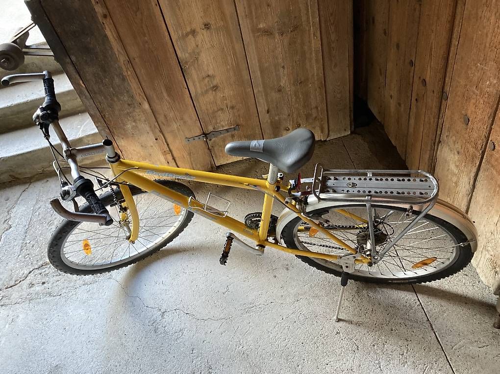 Biciclette: Mountainbike – Usato da Bolligen venduto da abara1 2