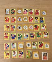 WM Paninni 2026, 79 Sticker