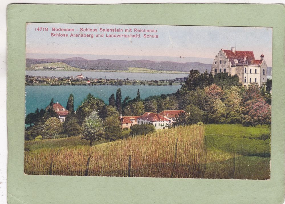 Bodensee Schloss Salenstein mit Reichensau Arenaberg 1930 | Kaufen auf ...