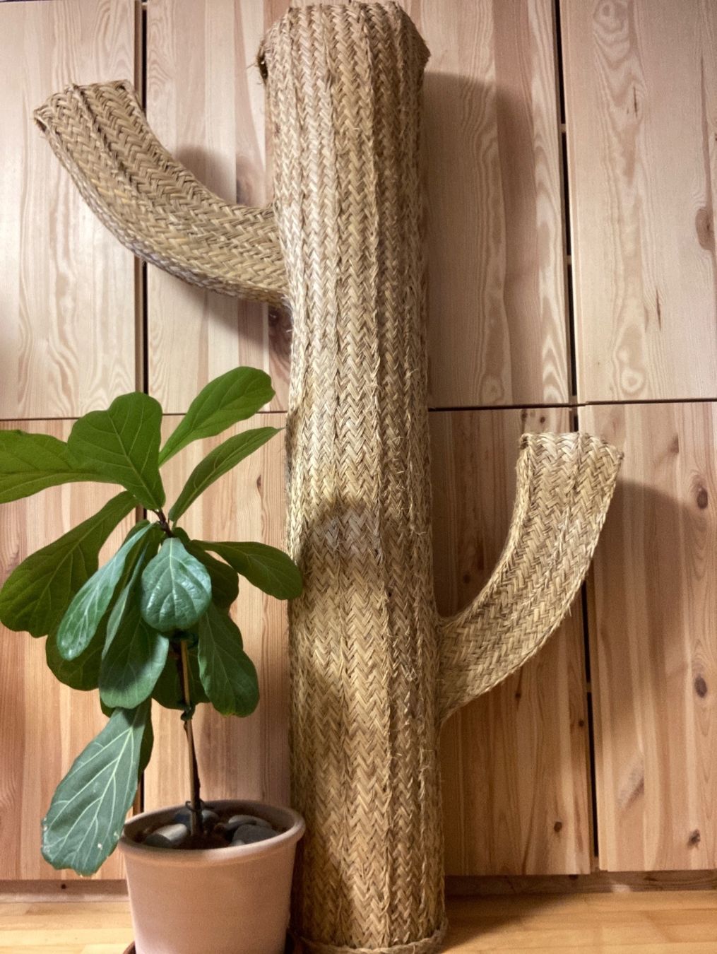Tutte le decorazioni: Deko Cactus aus Rattan – Usato da Bern venduto da Olblack 1