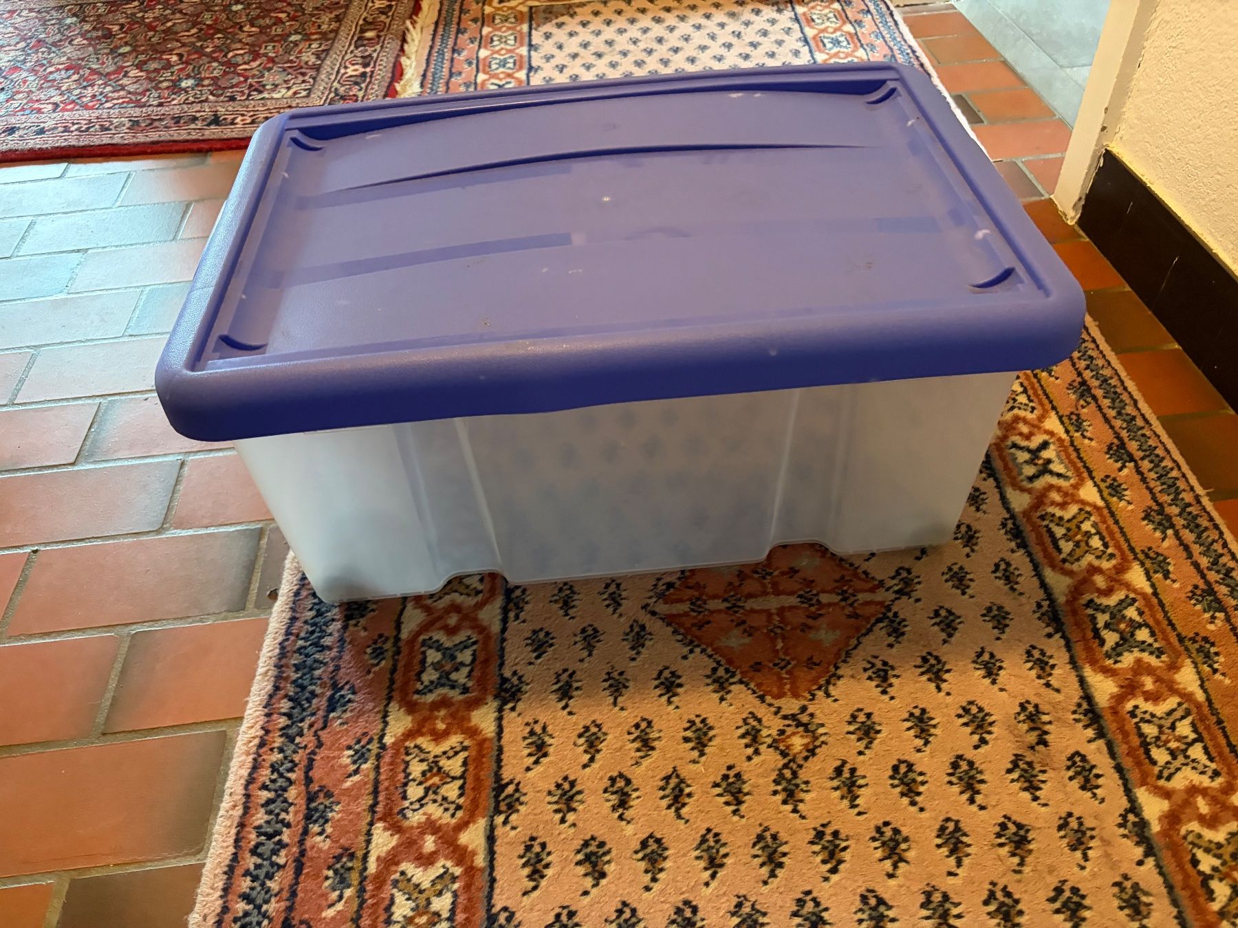 Contenitori & Simili: Kunststoffbox 43 L mit Rädli – Usato da Obergösgen venduto da Andre118