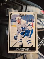 NHL Jason Spezza Toronto Maple Leafs