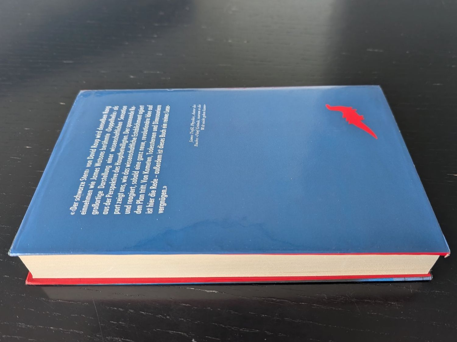 Bücher: Der Schwarze Stern - David M. Raup – Gebraucht aus Thalwil von sultan03 3