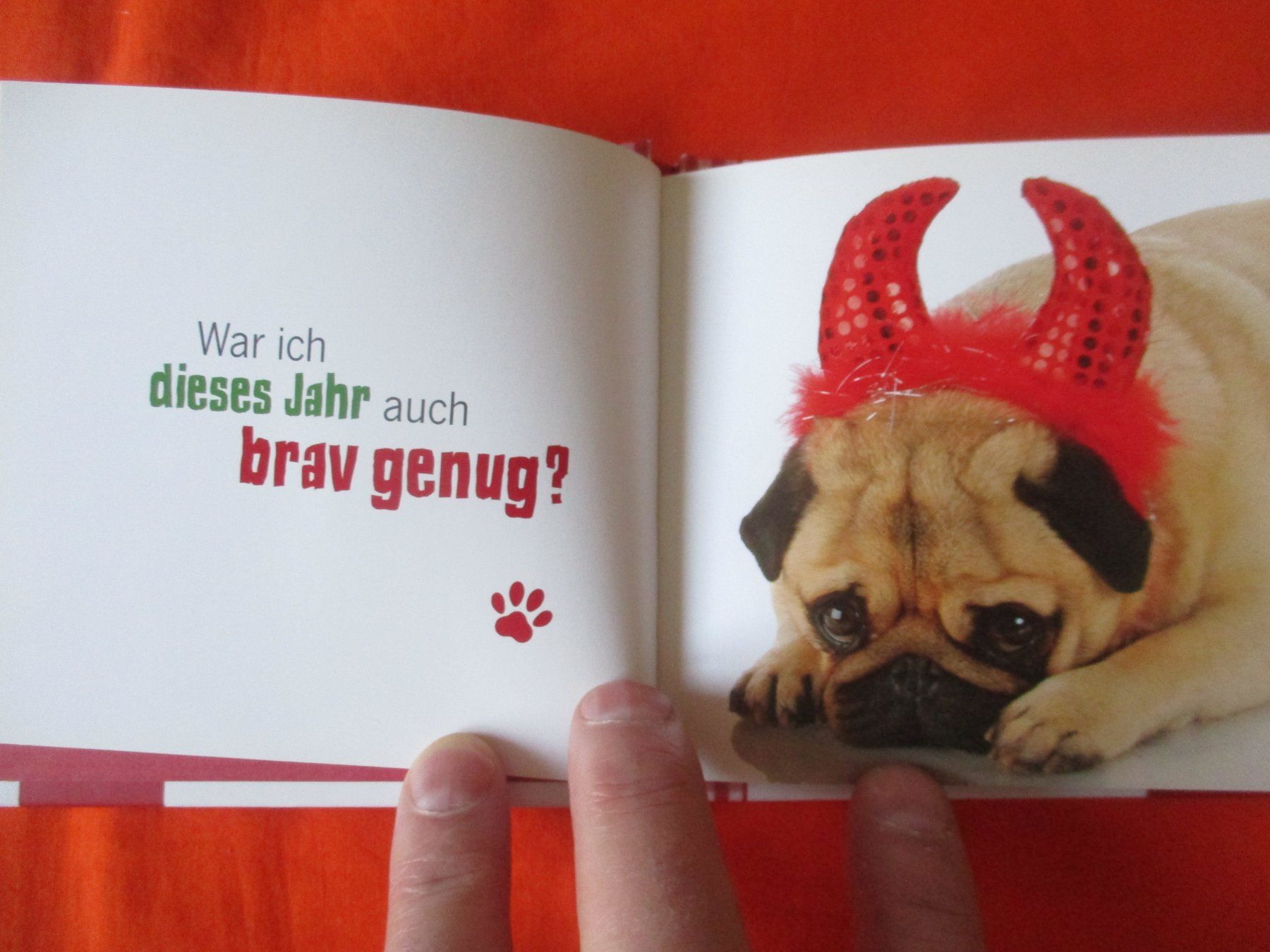 Libri: Buch Mopsfidele Weihnachten – Usato da Birsfelden venduto da alles-muss-raus 1