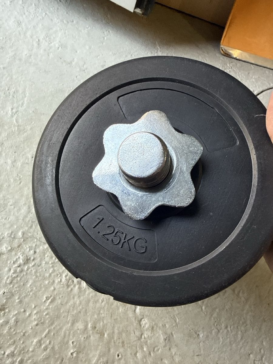 Manubri & Pesi: Kurzhantel 4x 1.25kg Scheiben – Usato da Oensingen venduto da ramon.92 1