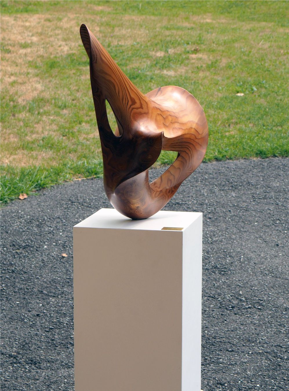 Skulpturen & Statuen: Oeuvre d'art en bois – Gebraucht aus Lausanne von matthieuvg