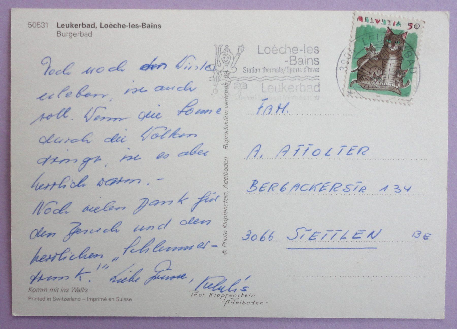 Cartoline postali: Leukerbad, Loèche-les-Bains, Burgerbad – Difettoso da Fétigny venduto da Billy2miny 1
