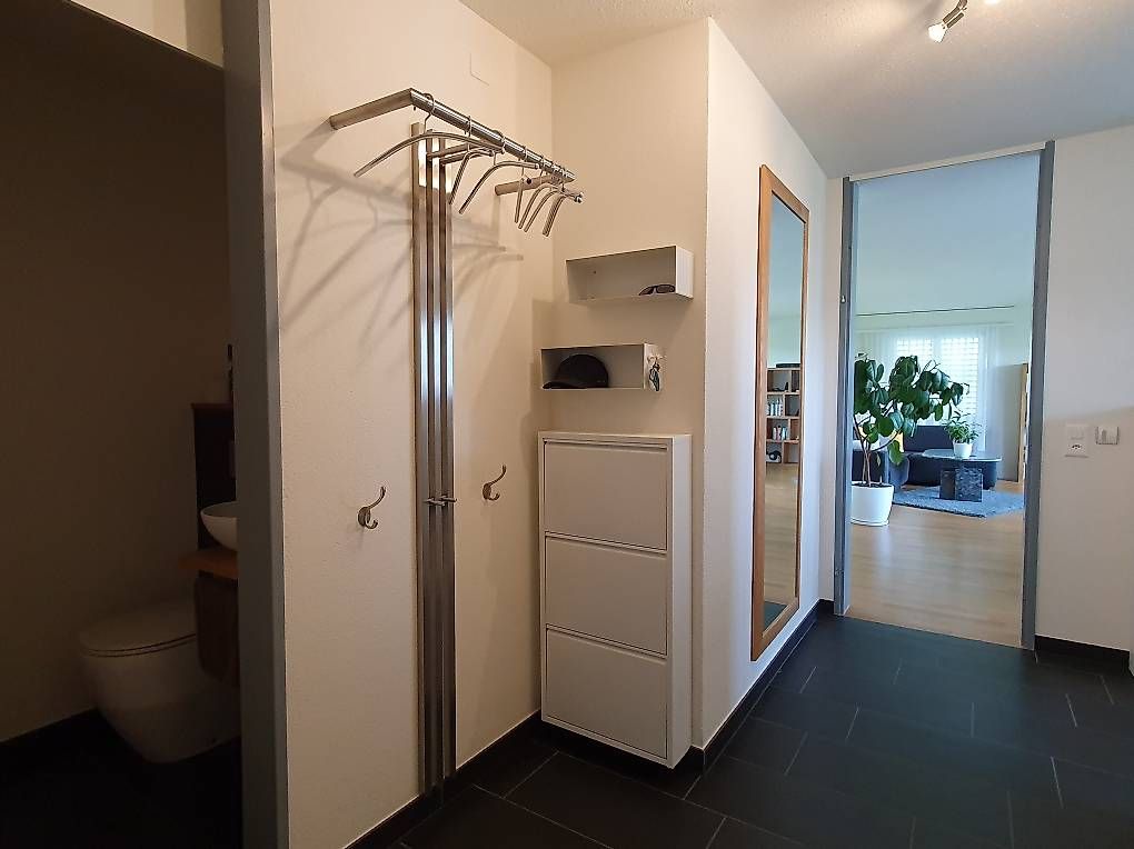 Guardaroba: Wandgarderobe in Edelstahl  – Usato da Romanshorn venduto da chr_ffc5 1