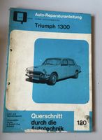 Auto Reparaturanleitung 120