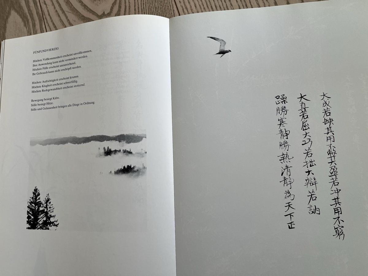Bücher: Lao Tse - Tao Te King – Gebraucht aus Romanshorn von Apfelschuss 3