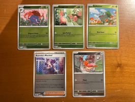Pokemon Karten Set Reverse (Versand gratis)