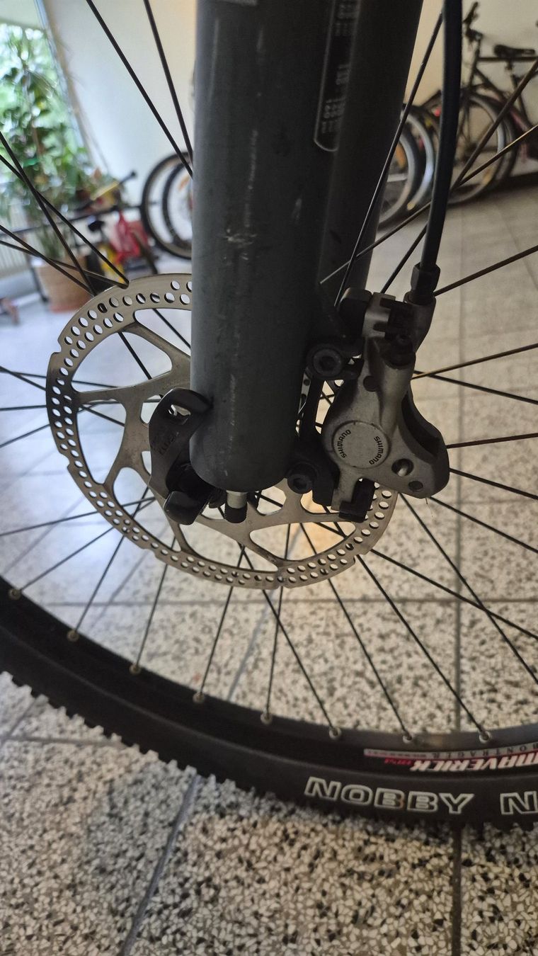 Biciclette: MTB / VTT Arrow – Usato da Basel venduto da Cellostoffeli 4