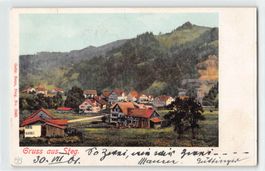 Gruss aus STEG - colorierte uralte Karte 1901