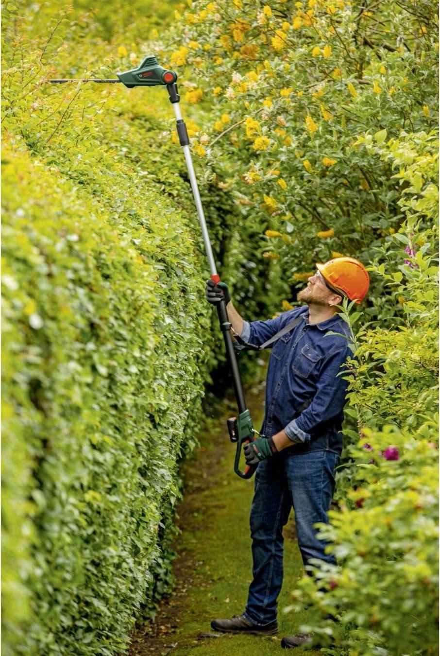 Tutte le macchine: Bosch Teleskop Heckenschere, Akkubetrieb – Nuovo (secondo la descrizione) da Oberwil BL venduto da Sinmik 4