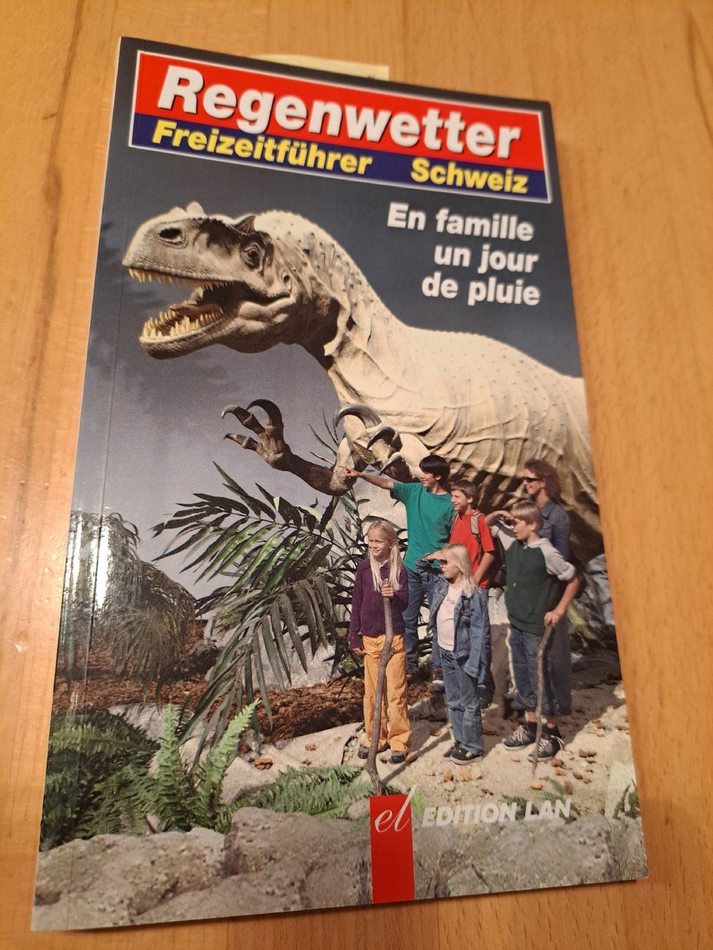Libri: Freizeitführer Schweiz - ideal bei Schlechtwetter – Usato da Schlattingen venduto da Kathr1n