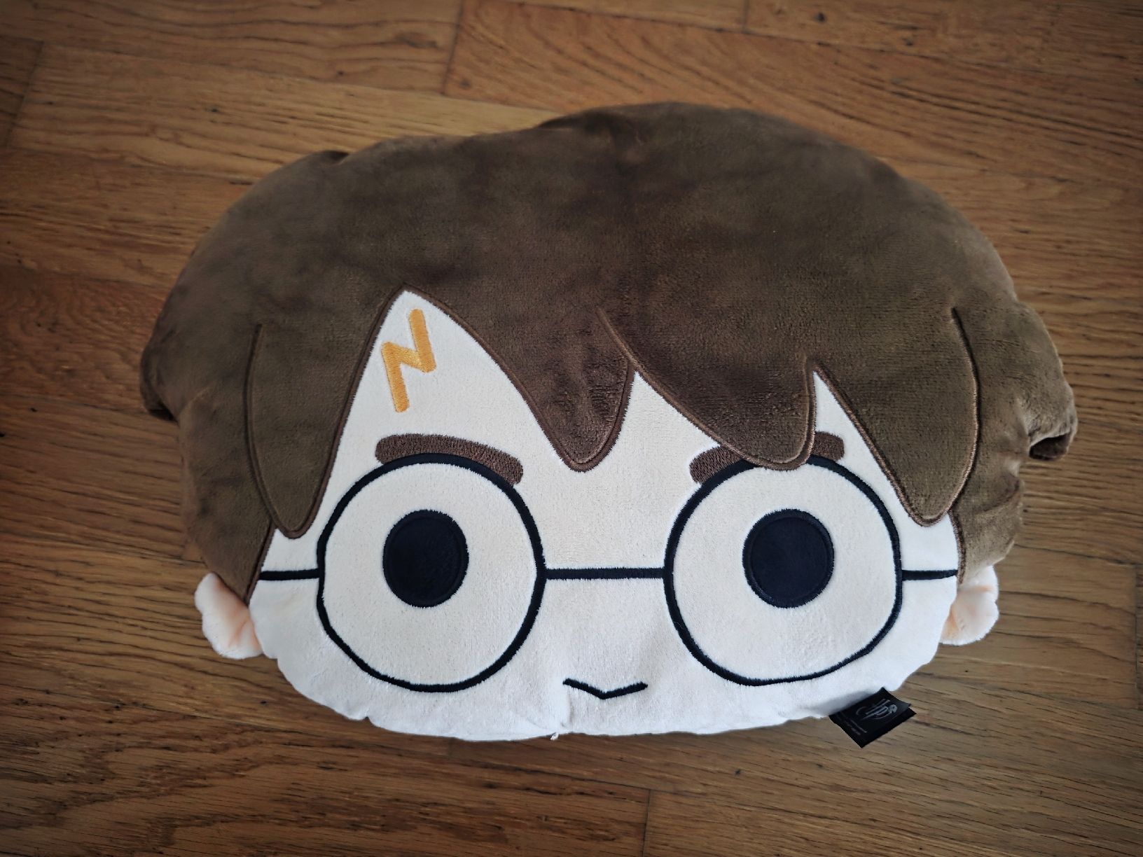 Cuscini: Coppia Cuscini Decorativi Harry Potter + Ron Weasley – Usato da Porza venduto da fra_c8qj 1