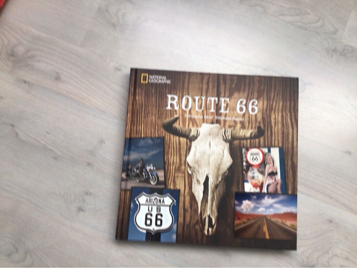 Libri: Harley Davidson Bücher – Usato da Oetwil am See venduto da ifnam 5