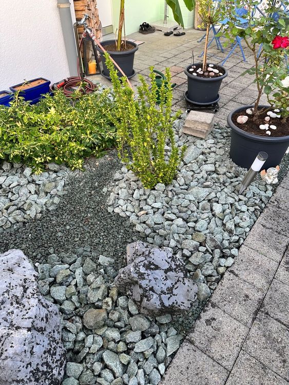 48+ Steine Steingarten Kaufen, Außerdem haben wir über 250 sorten
