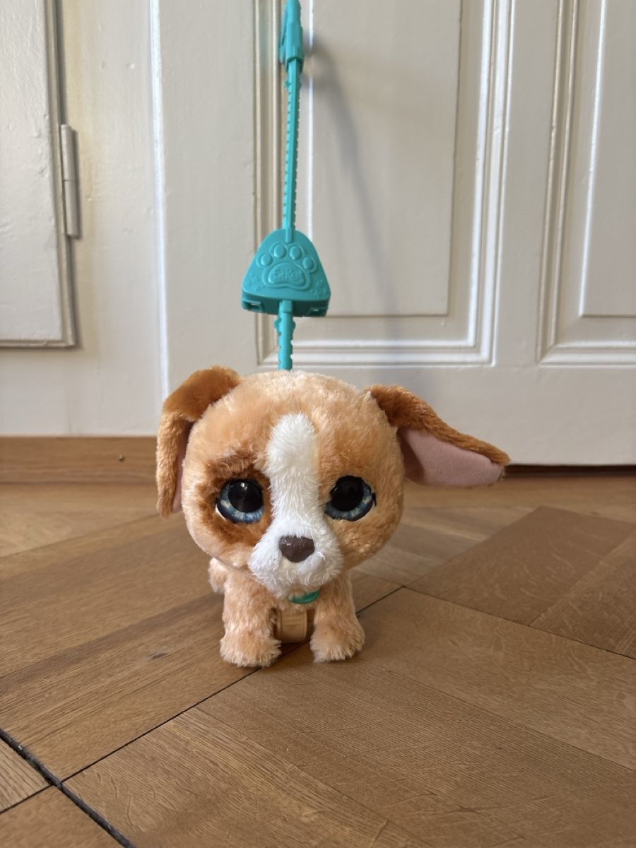FurReal Giocattoli: FurReal Hund – Usato da Bern venduto da 24Sonne24