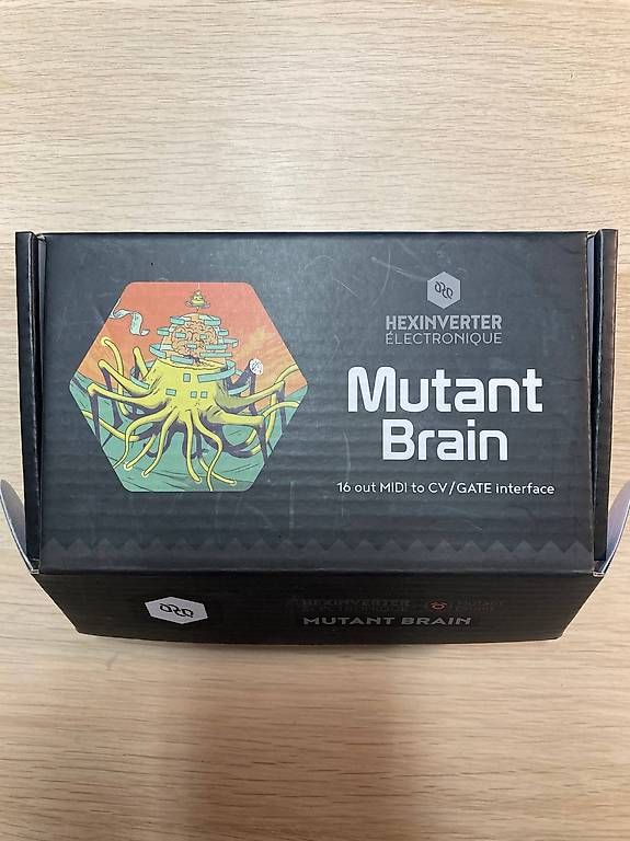 Strumenti musicali: Mutant Brain Hexinverter Eurorack Modul – Usato da Luzern venduto da sto_777 2