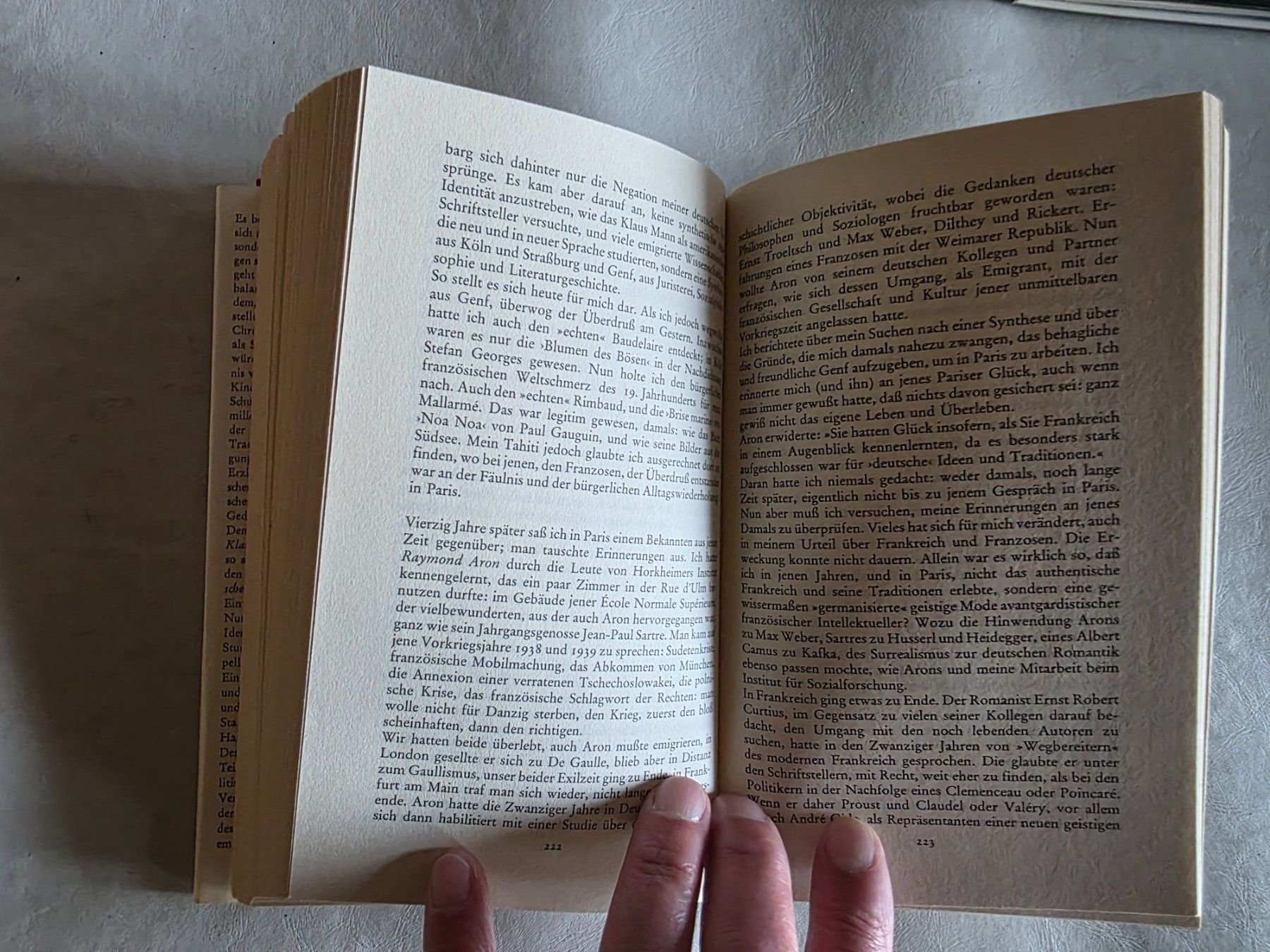 Libri: Hans Mayer - Ein Deutscher auf Widerruf - 1982 – Usato da Walterswil BE venduto da Lonitti 8
