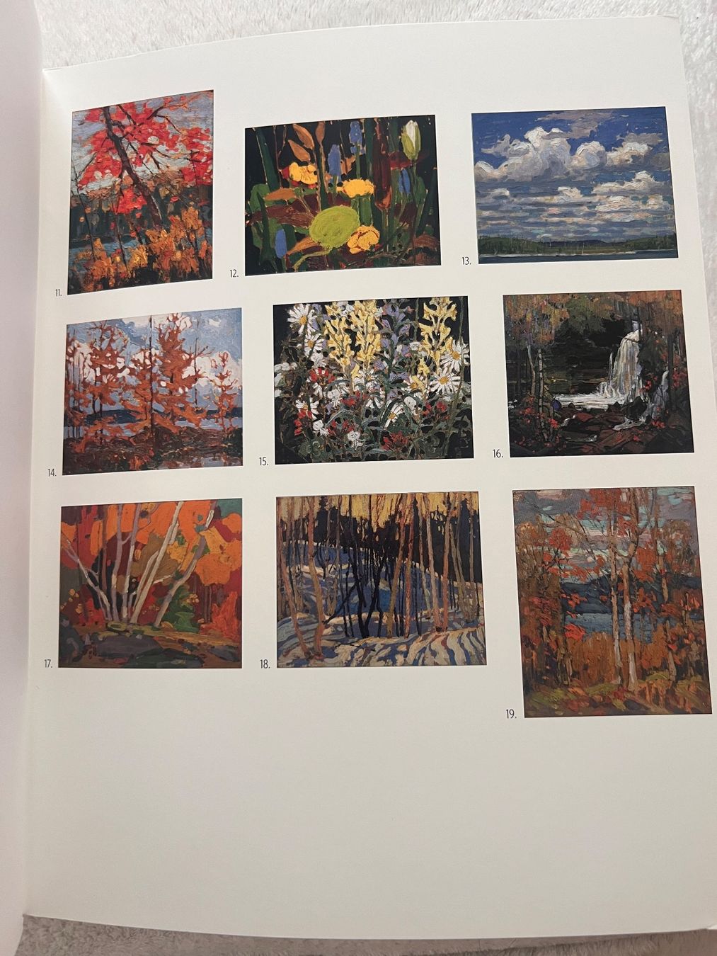 Libri: Coloring book by Tom Thomson – Nuovo (secondo la descrizione) da Lausanne venduto da NYC67 5