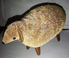 Schaf für Krippe