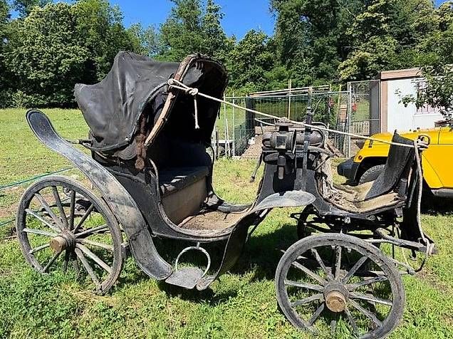 Kutschen: Vendo carrozza per cavalli – Gebraucht aus Stabio von bre_nql6 3