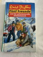 Enid Blyton /Fünf Freunde und der geheimnisvolle Schneemensc