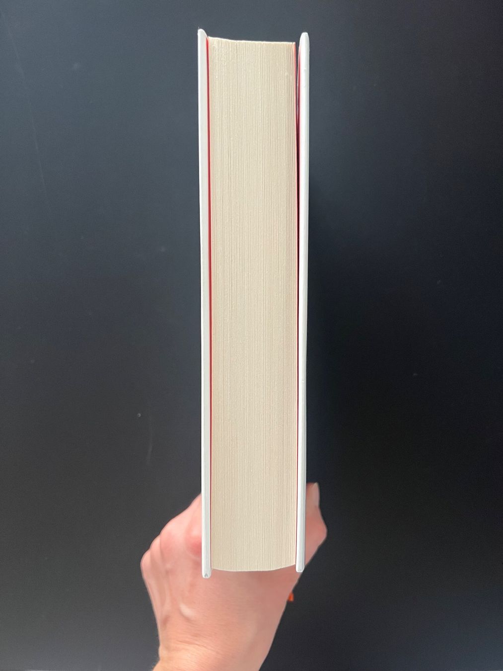 Libri: Die Verlorenen - Simon Beckett  - Thriller – Usato da Zürich venduto da An_B 2