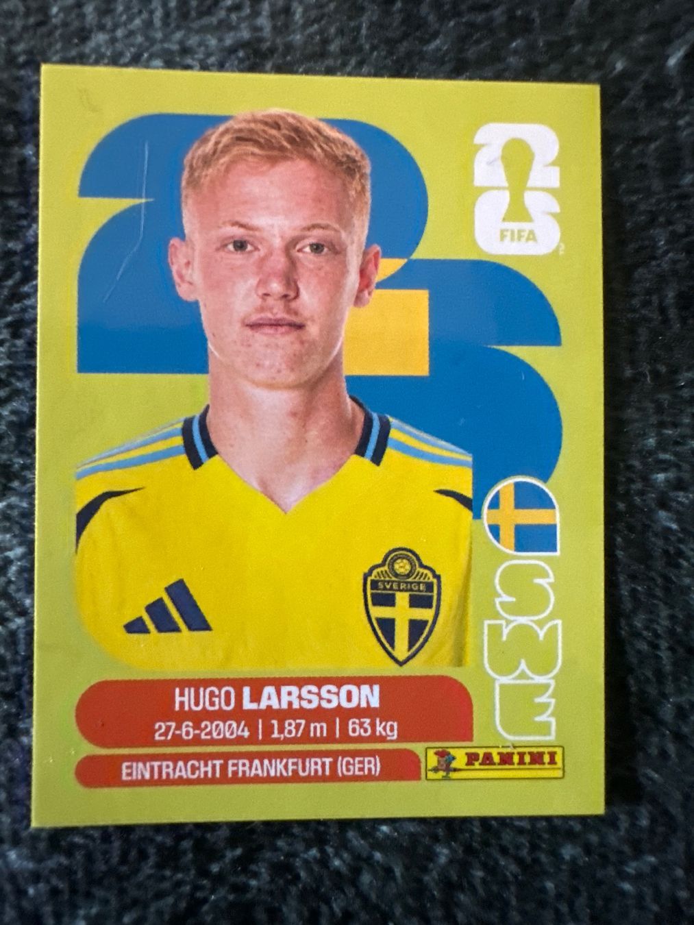 Panini Cartes à collectionner: SWE 9 – Neuf (Voir description) à Sion par loi_9vyj