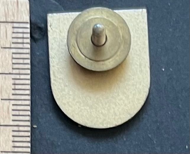 Swiss Placchette & Badge: Uri-Stier/ RÜTLI SEKTION, Wappen, Pin – Usato da Ostermundigen venduto da DaxKarten-75 1