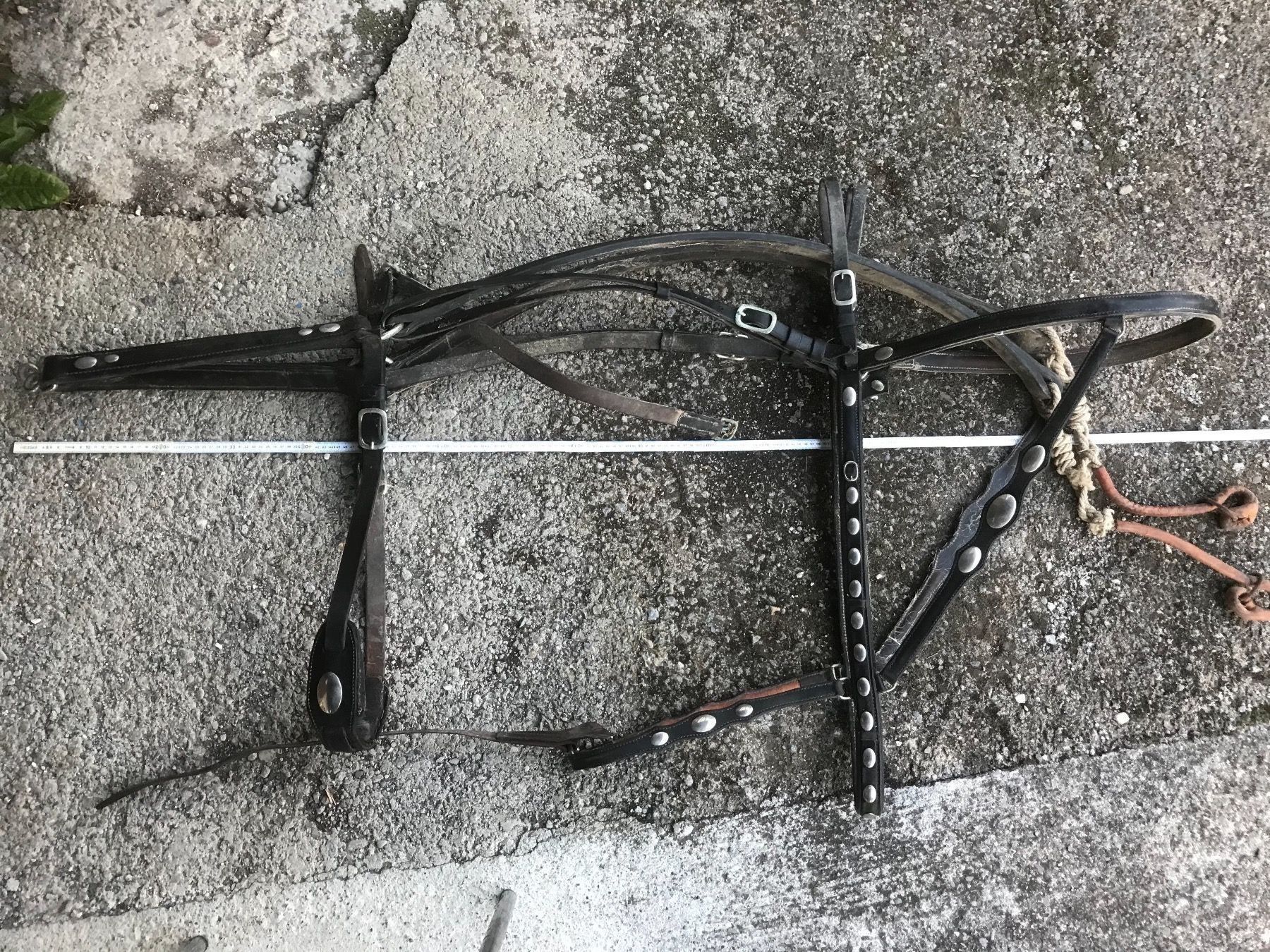 Briglie & Cavezze: Kummet - 2 Bündner Kummetgeschirre – Usato da Zürich venduto da Malcom 8