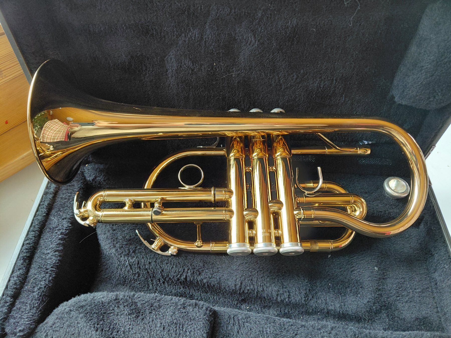Yamaha Strumenti musicali: Cornet Yamaha – Usato da Mollis venduto da nussbaum010 1