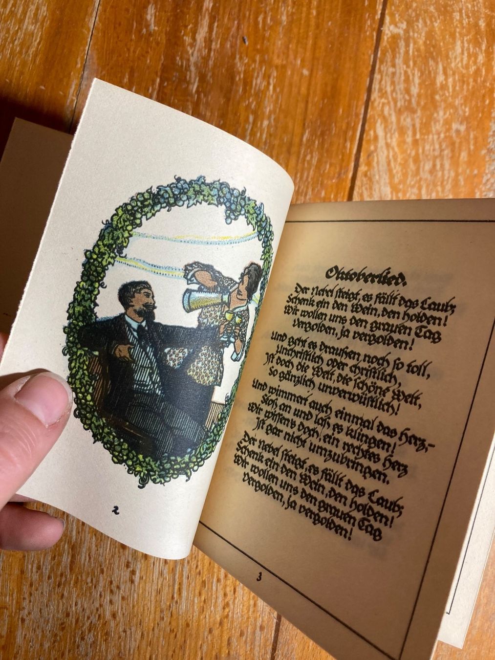 Libri: Buch Storm Gedichte illustré vintage – Usato da St-Cierges venduto da LeRegain 5