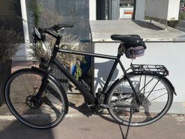 City-Tourenvelo, Basilisk Bike