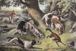 TOP Fuchsjagd Henry LEA London Rarität Fuchs Jagd antik