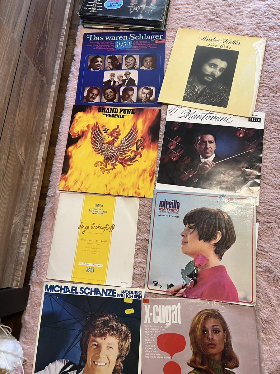 Dischi in vinile: Grosse Schallplattensammlung über 320 Stück – Nuovo (secondo la descrizione) da Ostermundigen venduto da Dino_87 6