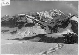 Winterlandschaft mit Säntis