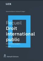 🇨🇭 Recueil Droit International Public S. Besson Stämpfli V