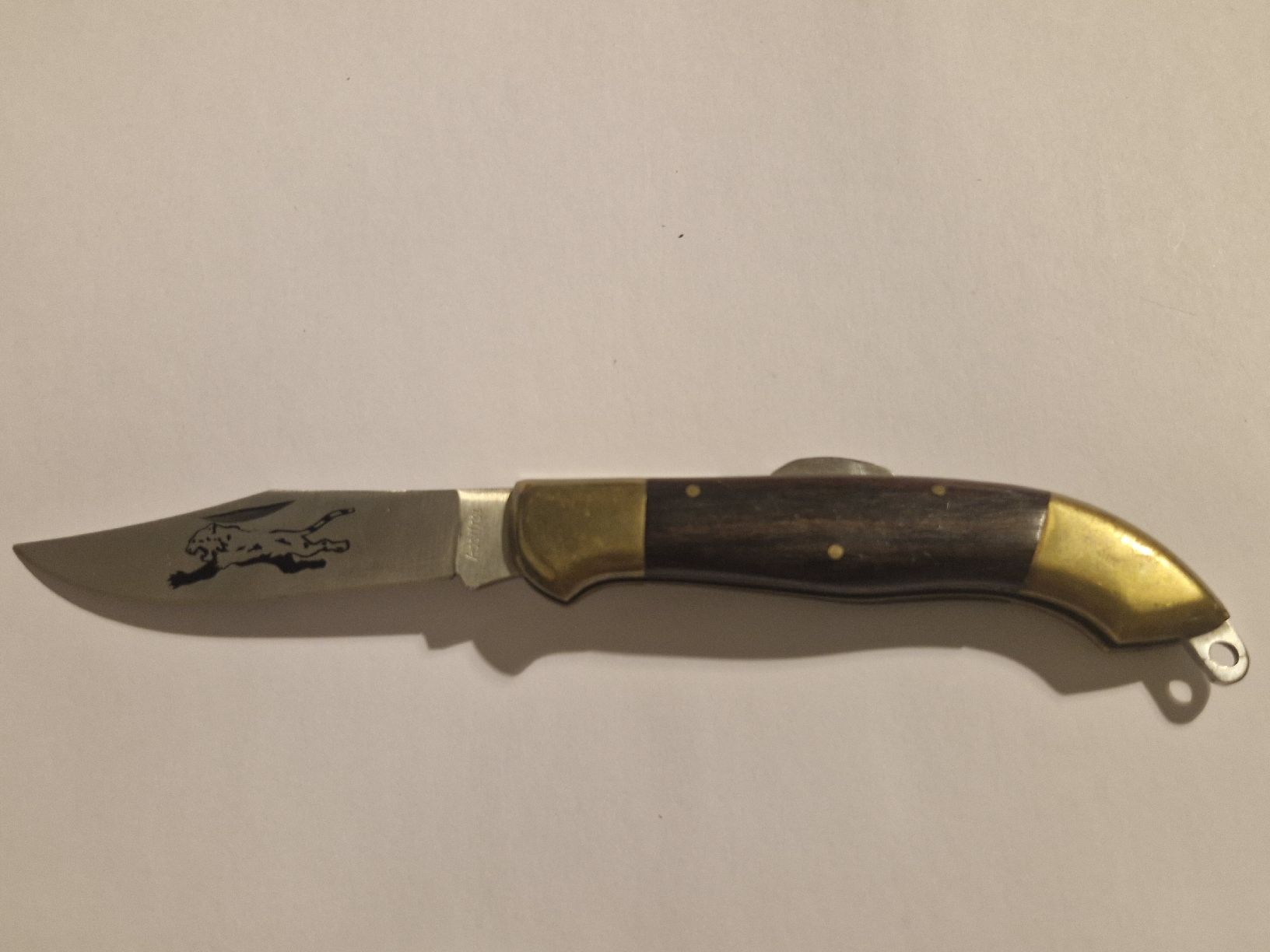 Taschenmesser: Taschenmesser robust mit Jaguarklinge – Gebraucht aus Zürich von Aisha8 1