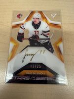 Sportzoo Stars of the Season David Sklenicka 13/25 Signed