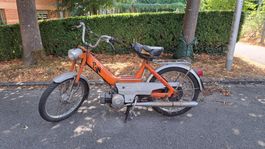 PUCH MAXI N JG. 1969