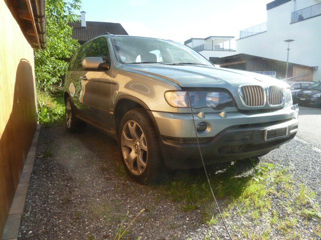 BMW Automobili: BMW X5 E53 4.4i – Usato da salez venduto da fordson4 1