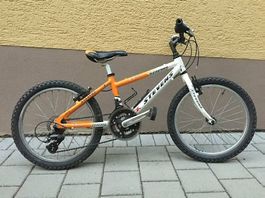 Stevens KID Sport 20", MTB für die Kleinen