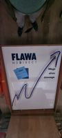 Leuchtreklame "FLAWA MEDIRECT" mit Neonlicht