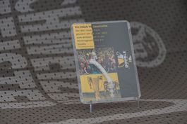 BSC YB Rarität - Tornetzstück vom Cupfinal 2023 (14/15)