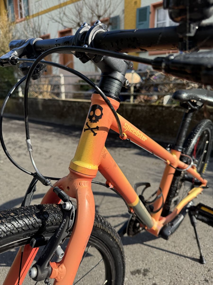 MTB Cycletech, Speedster 24 Zoll (Gebraucht) in Nidau für CHF 129 – nur ...
