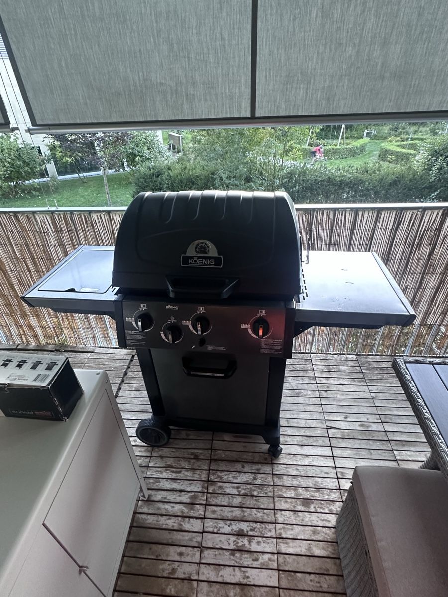 Griglie: Gasgrill – Usato da Adliswil venduto da Dusan-123