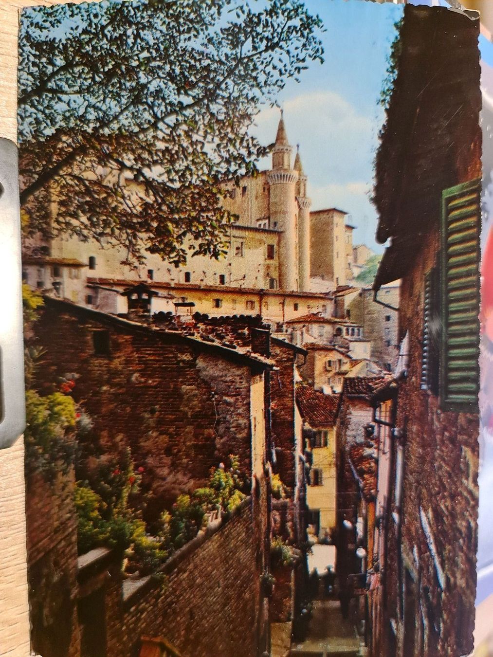 Cartoline postali: Ansichtskarte Urbino Italien – Usato da Dintikon venduto da Vexi